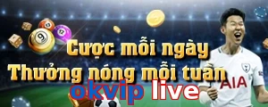 okvip live